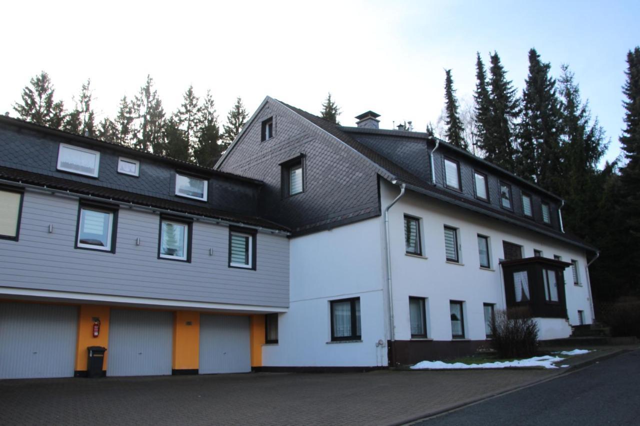 Cozy Braunlage Apartment Екстериор снимка